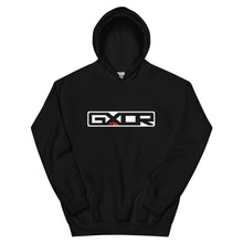Load image into Gallery viewer, Logo Hoodie